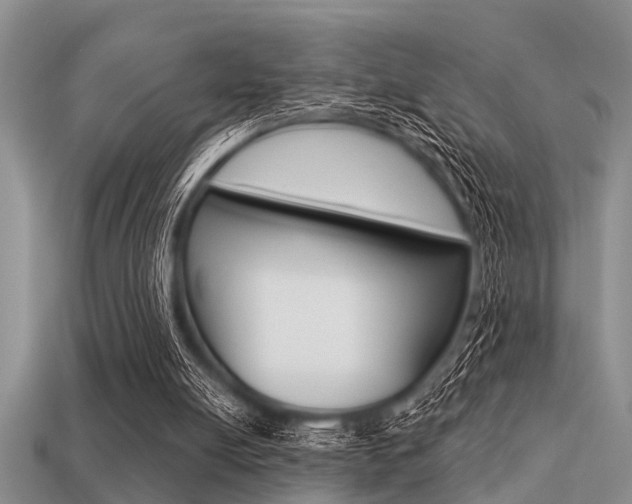 X0000113300054200909140954
