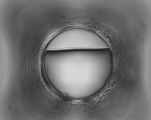 X0000113300055200909140954