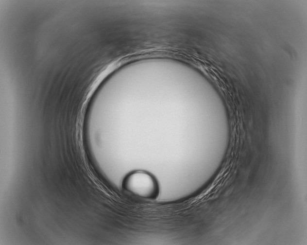 X0000113300056200909140954