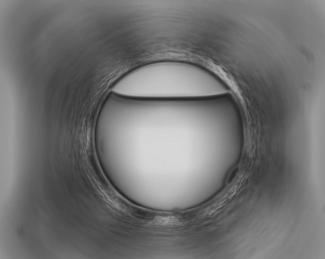X0000113300057200909140954