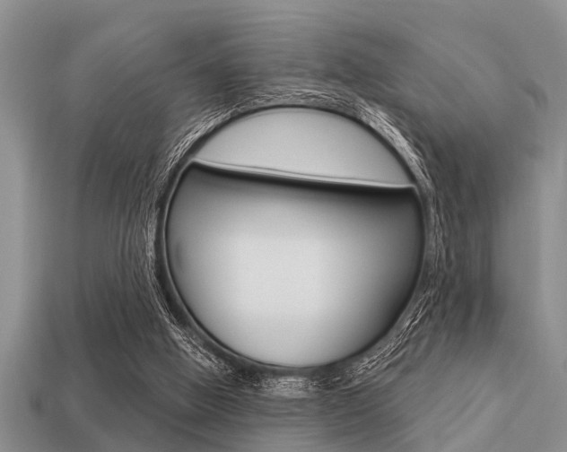 X0000113300058200909140954