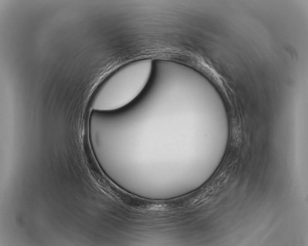 X0000113300059200909140954