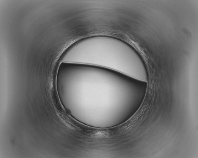 X0000113300060200909140954