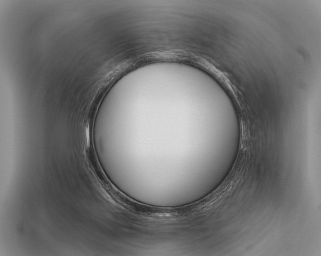 X0000113300061200909140954