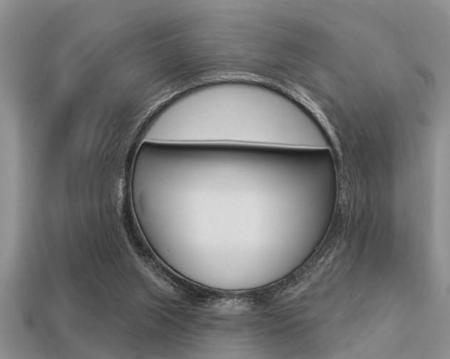 X0000113300063200909140954
