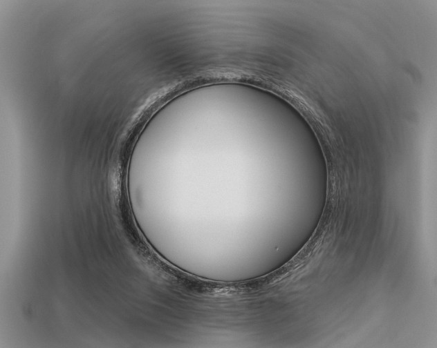 X0000113300064200909140954
