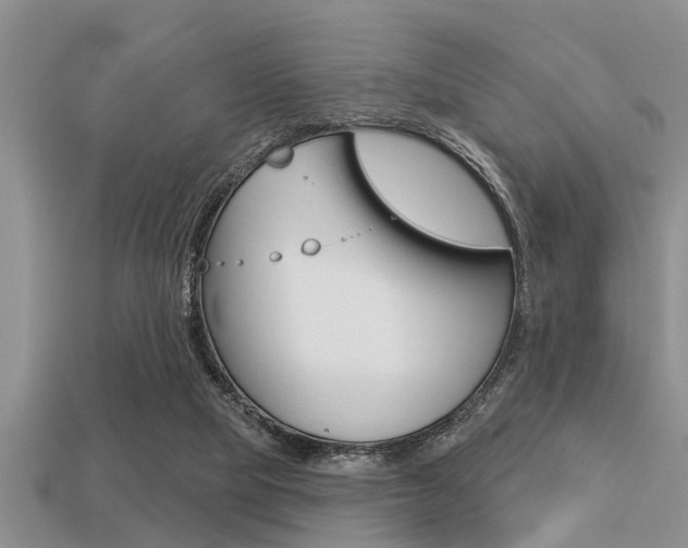 X0000113300065200909140954
