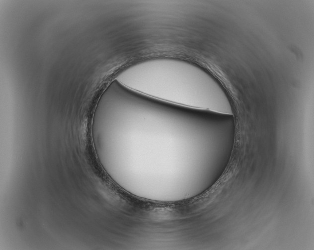 X0000113300066200909140954