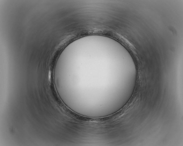 X0000113300067200909140954