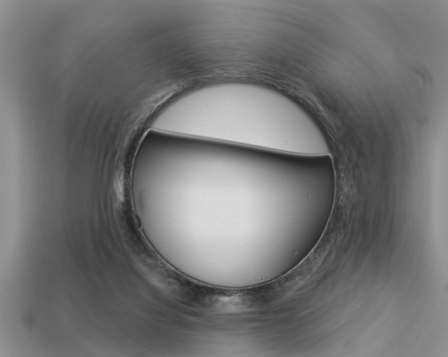 X0000113300068200909140954