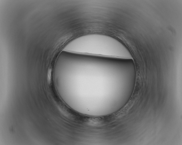 X0000113300070200909140954