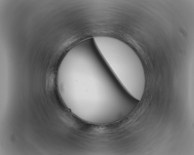 X0000113300071200909140954