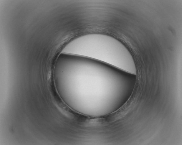 X0000113300072200909140954