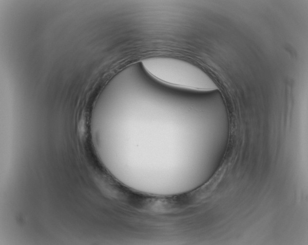 X0000113300074200909140954