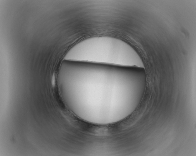 X0000113300075200909140954