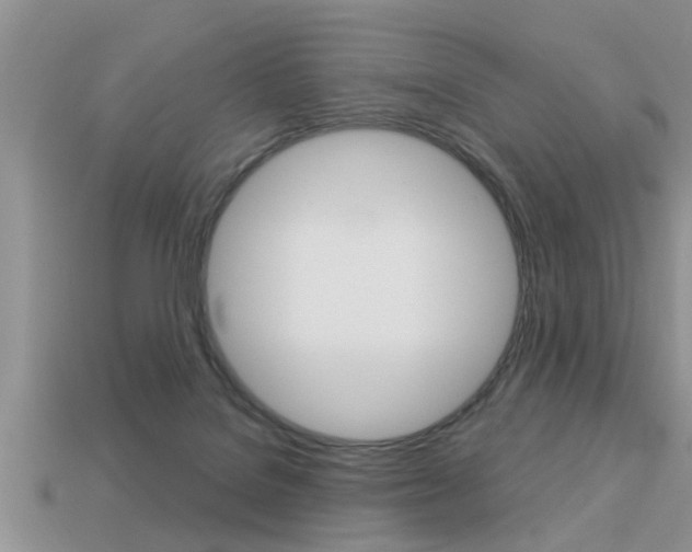 X0000113300076200909140954