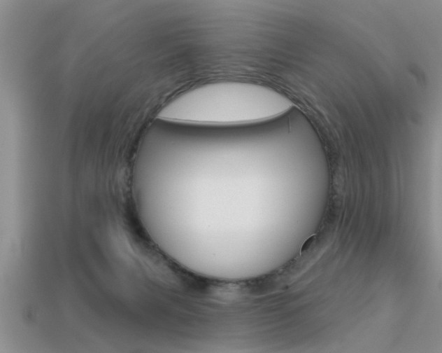 X0000113300079200909140954
