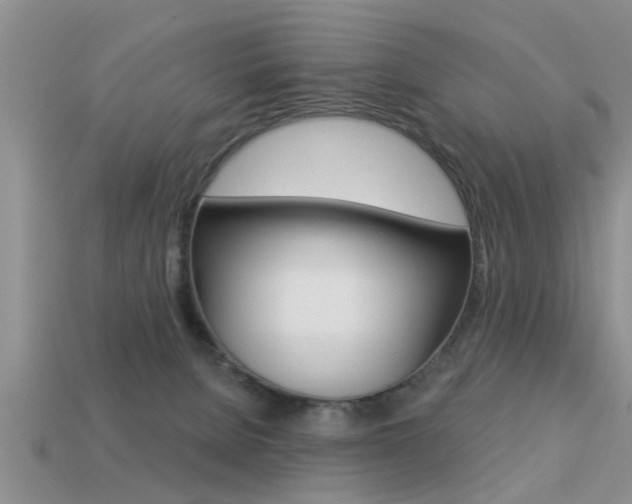 X0000113300080200909140954