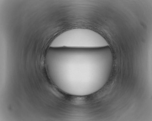 X0000113300081200909140954