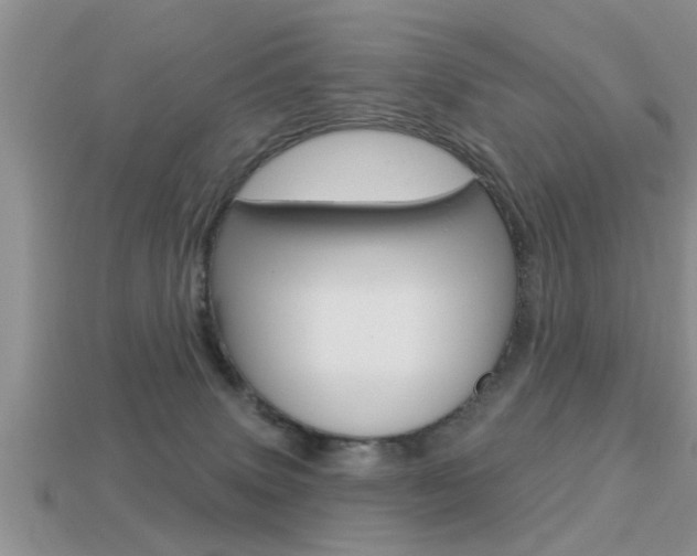 X0000113300083200909140954