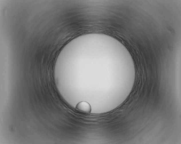 X0000113300084200909140954