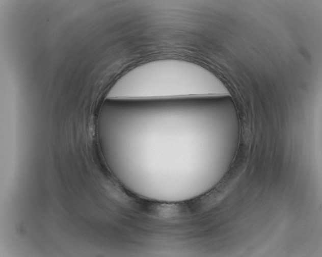 X0000113300085200909140954