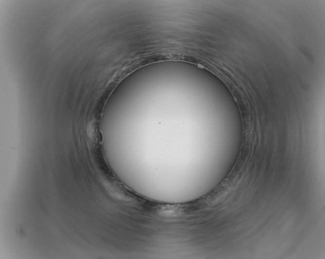 X0000113300088200909140954