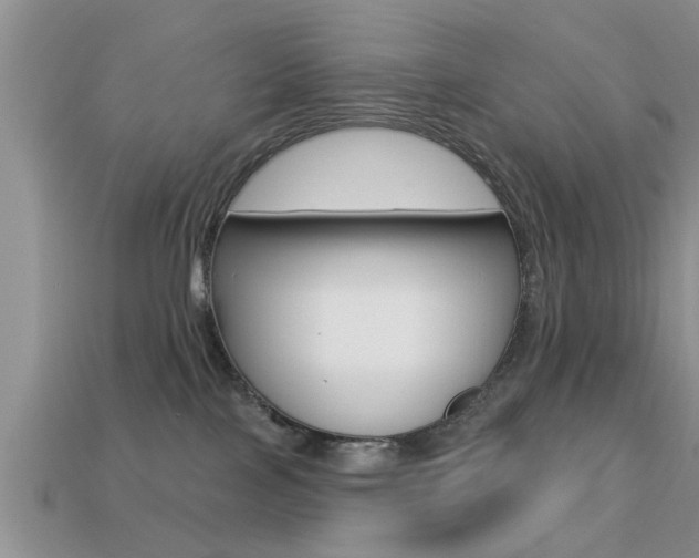 X0000113300089200909140954