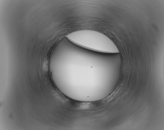 X0000113300090200909140954