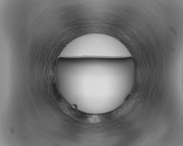 X0000113300091200909140954
