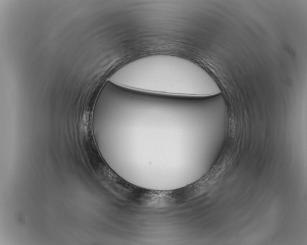 X0000113300093200909140954