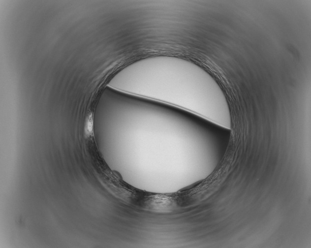 X0000113300095200909140954