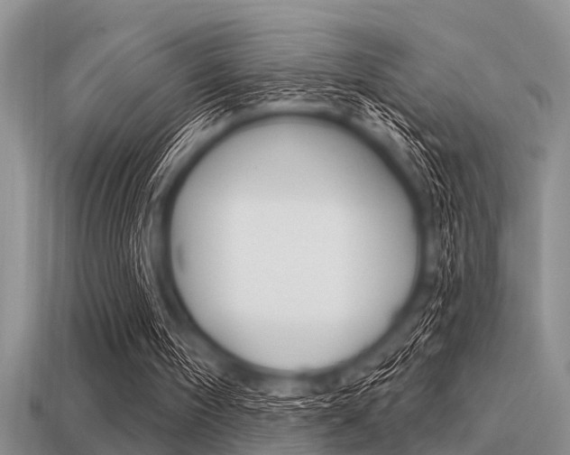 X0000113300098200909140953