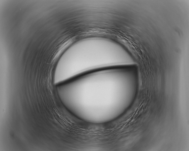 X0000113300099200909140953