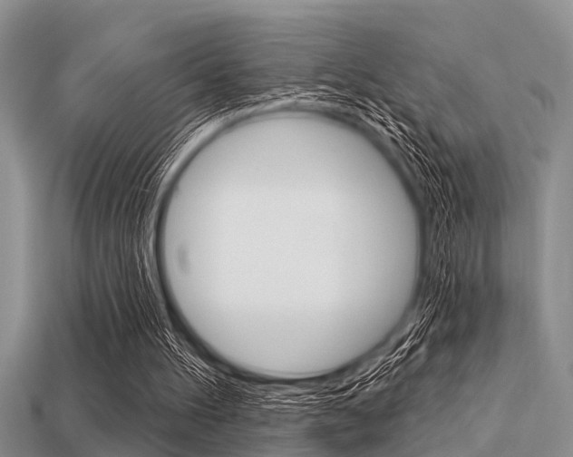 X0000113300100200909140953