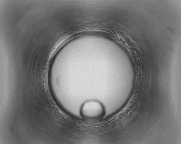 X0000113300101200909140953