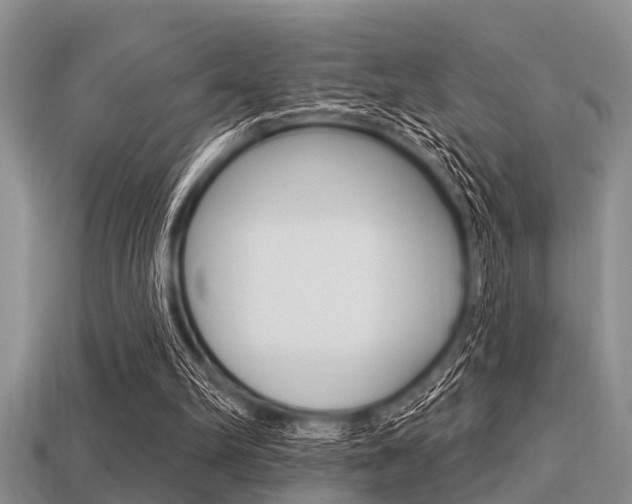 X0000113300102200909140953