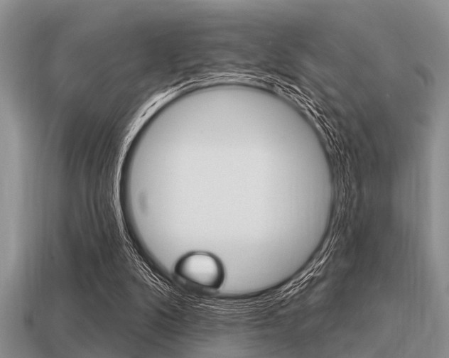 X0000113300104200909140953