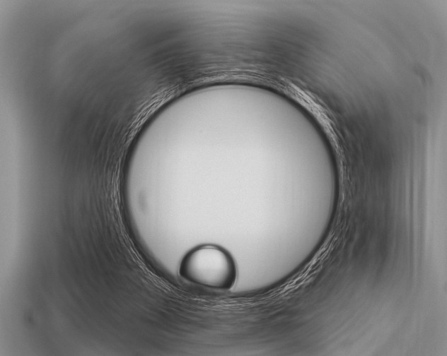 X0000113300105200909140953