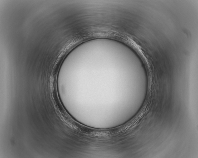 X0000113300106200909140953