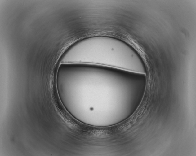 X0000113300107200909140953