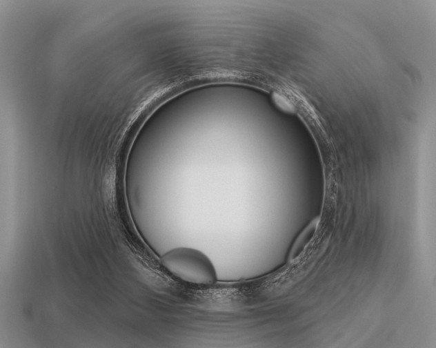 X0000113300108200909140953