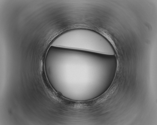 X0000113300109200909140953