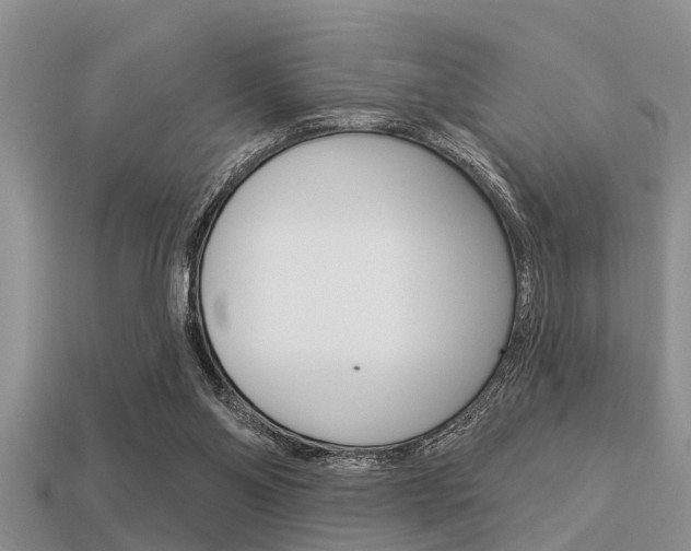 X0000113300110200909140953