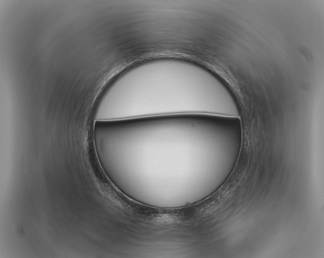 X0000113300111200909140953