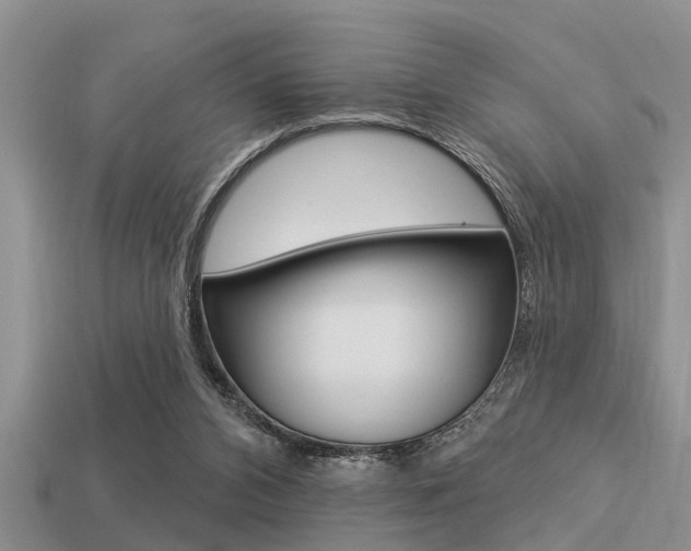 X0000113300112200909140953