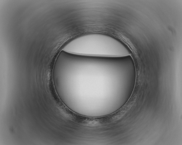 X0000113300113200909140953