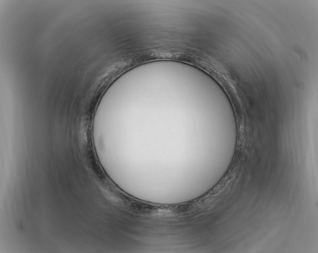 X0000113300114200909140953