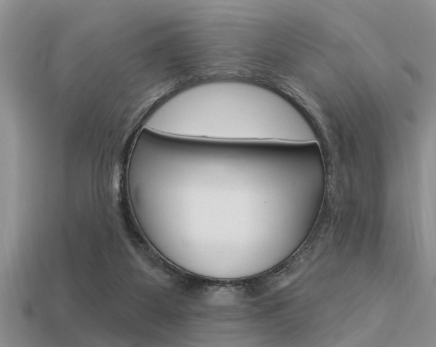 X0000113300115200909140953