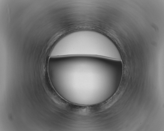 X0000113300116200909140953